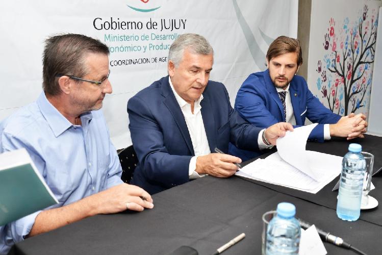 Fomento al Desarrollo Productivo de la Región de Rinconada y Pirquitas
