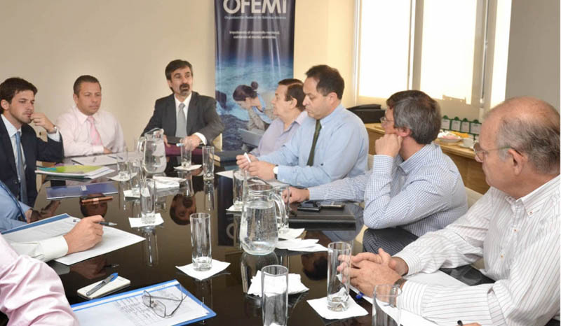 Ofemi traza auspiciosa proyección para 2014