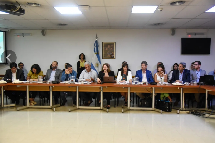 Proyección 2023. Consejo Federal de Minería : Jujuy estuvo presente en la reunión realizada en la Cámara de Diputados de la Nación
