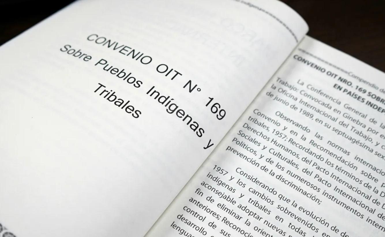 Trabajo Mancomunado con OIT para fortalecer la implementación del Convenio 169 sobre Pueblos Indígenas