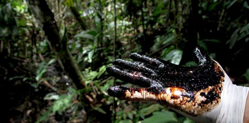 La justicia deberá resolver sobre la explotación de petróleo y los pasivos ambientales en el Parque Nacional Calilegüa