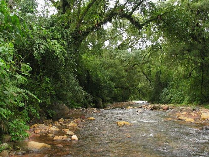 Parque Calilegua: cesó la explotación petrolera